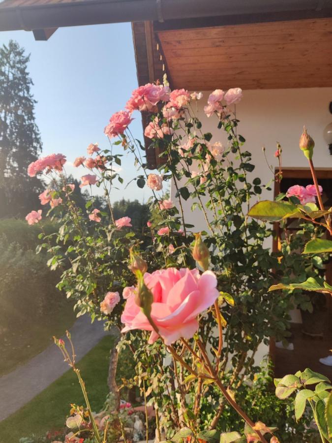 Pension Treissmann Pichling bei Stainz Екстериор снимка